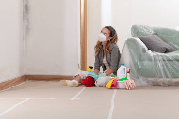 Reliable Commercial Mold Remediation contractor in Edwardsburg, MI by WQB Mold Removal